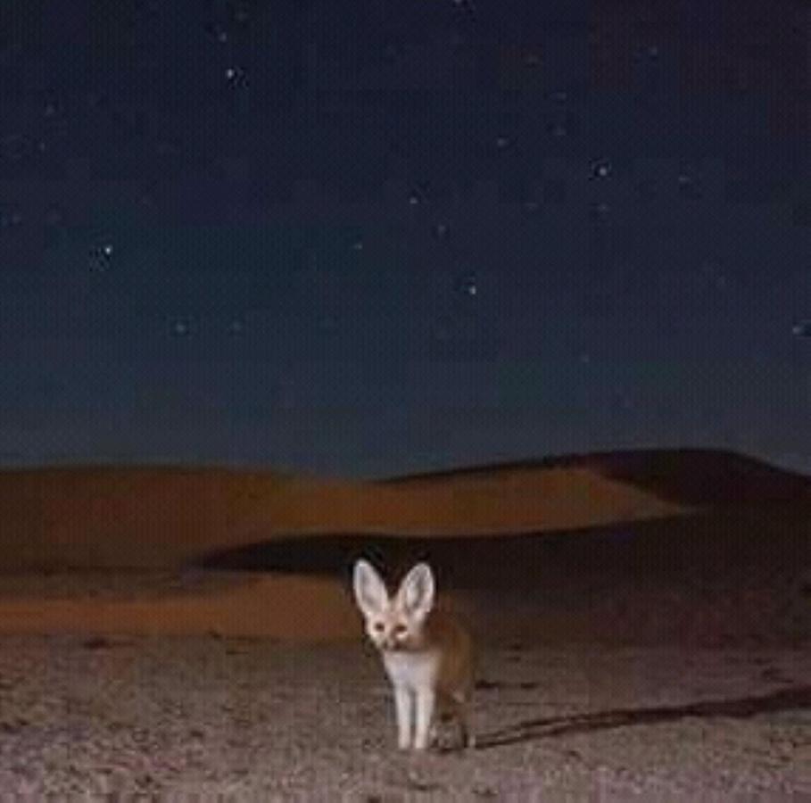מלון מרזאוגה Restcamp Ergchebbi מראה חיצוני תמונה